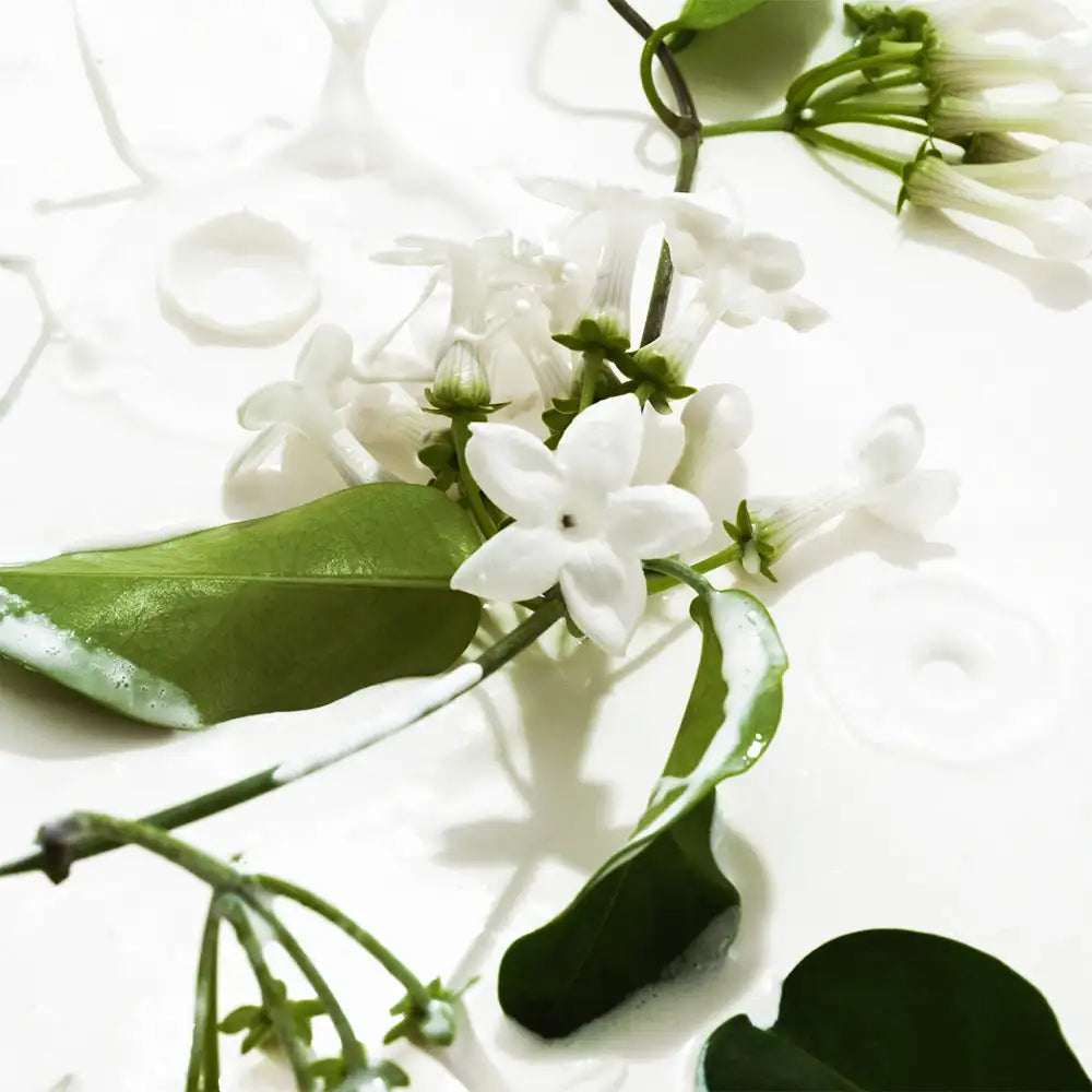 MAIRA'S COLLECTIONS KOEC Fragrance Mist with jasmine, vanilla, and lemon notes in a 50ml spray bottle.
